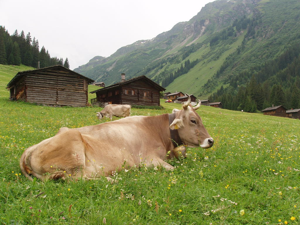 Appart Fernblick Gaschurn Esterno foto